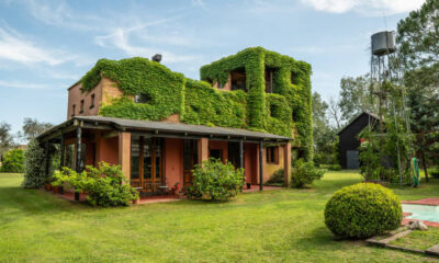 istockphoto-1225846519-612×612-2