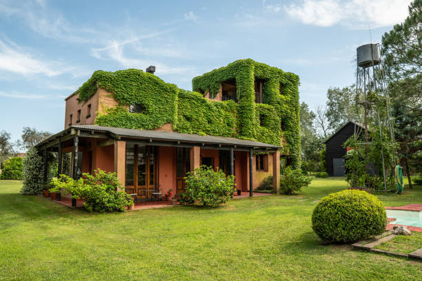 istockphoto-1225846519-612×612-2